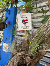 Cargar imagen en el visor de la galería, Mini Quote Sign - Tierra boricua, alma verde @wemiarts
