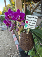 Cargar imagen en el visor de la galería, Mini Quote Sign - Porque todo lo que se hace con amor florece.